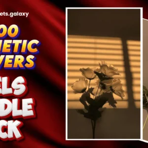 Aesthetic flowers reels bundle pack