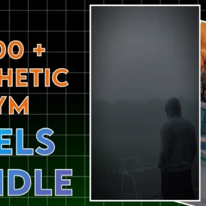 Aesthetic GYM