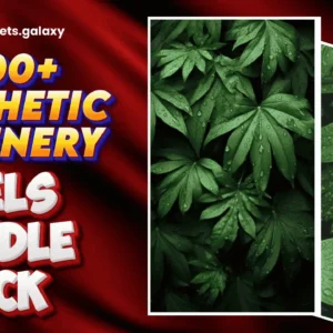 Aesthetic greenery reels bundle pack