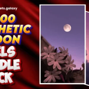 Aesthetic moon reels bundle pack