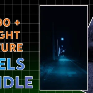 Night Nature
